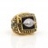 1995 Pittsburgh Steelers AFC Championship Ring/Pendant(Premium)